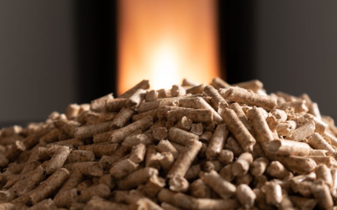 Che tipo di canna fumaria serve per stufa a pellet? Guida completa alle soluzioni di Edilnova – InoxSistema